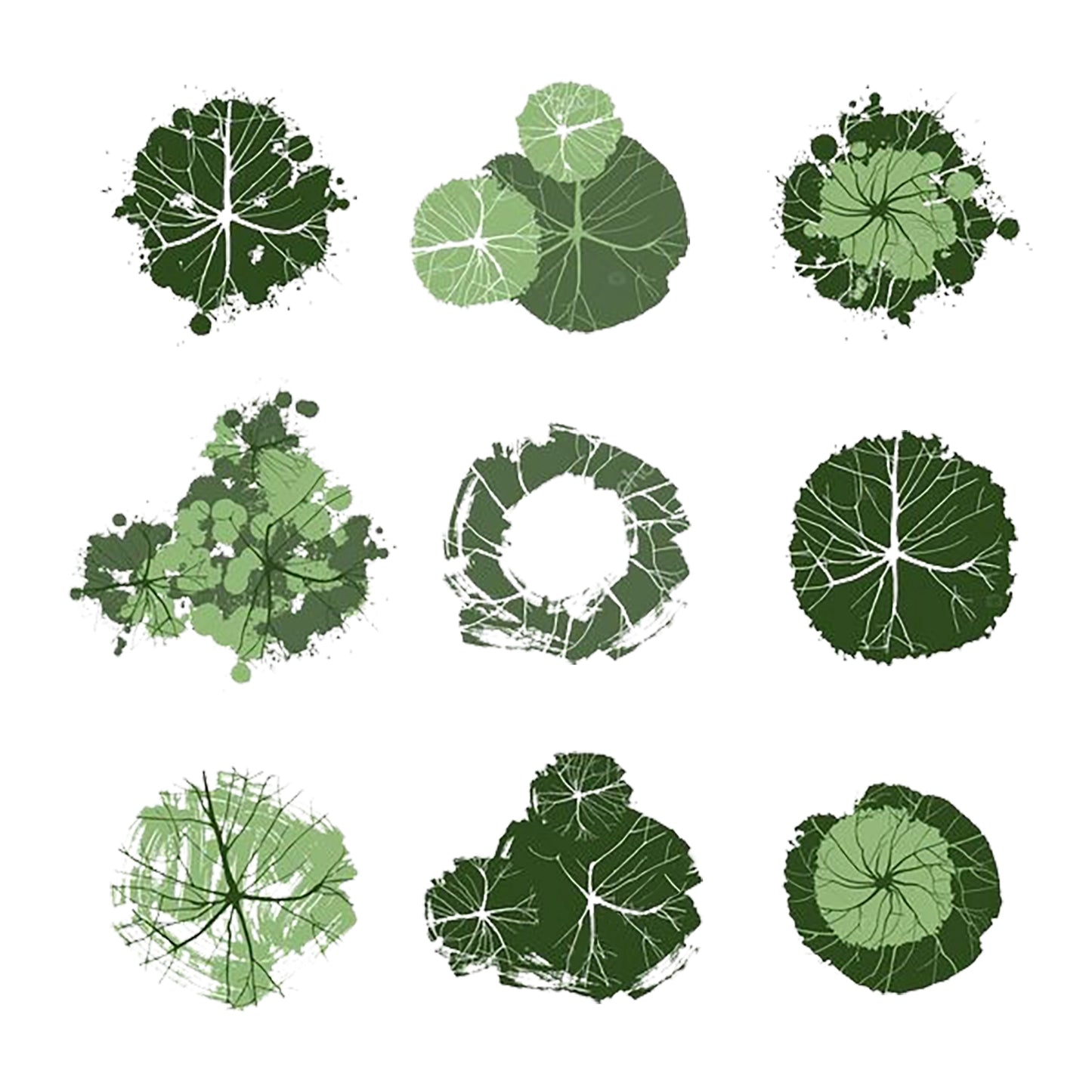 Abstract Botanical Shape Top View PSD for Japanese Garden Visualization