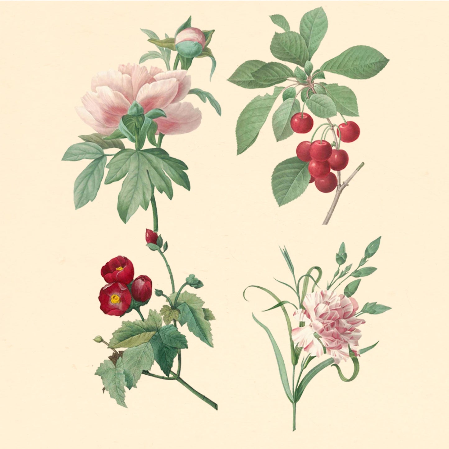 Lotus flower layered PSD artwork in traditional Chinese painting style