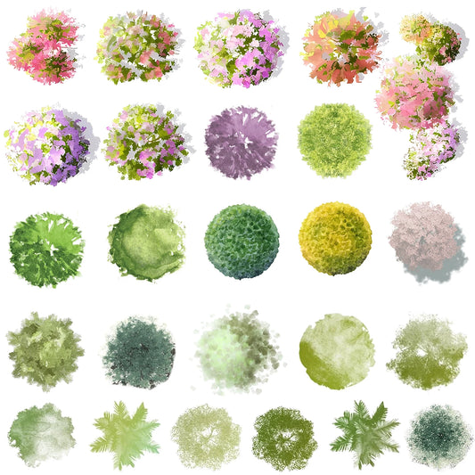 Watercolor top view bush with pink and green foliage for landscape plan