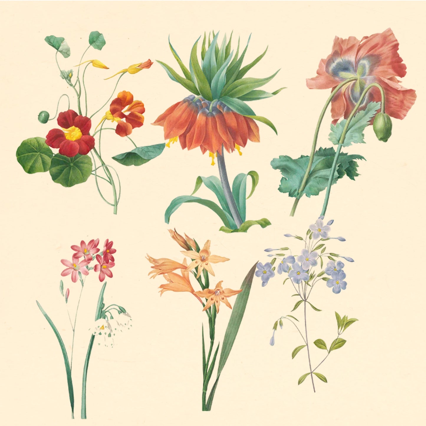 PSD orchid floral illustration with ink-inspired brush strokes