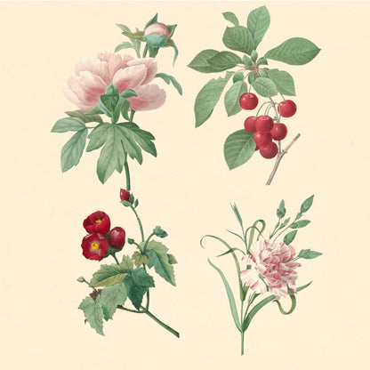 Lotus flower layered PSD artwork in traditional Chinese painting style